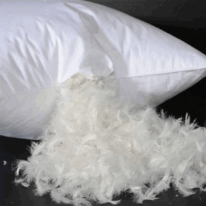 Feather-Pillow